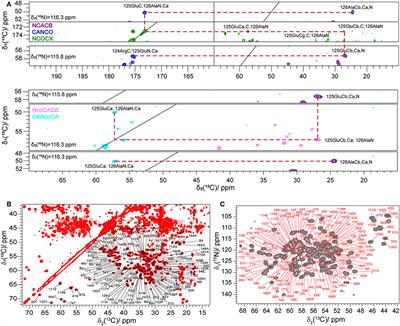 Including Protons in Solid-State NMR Resonance Assignment and Secondary Structure Analysis: The Example of RNA Polymerase II Subunits Rpo4/7